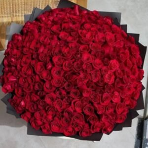 A breathtaking bouquet of lush red roses, densely packed for a luxurious and romantic presentation. The deep red hue symbolizes love and passion, making it an unforgettable gift for special moments.