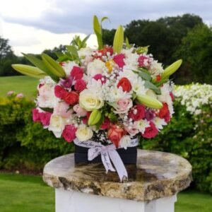 A stunning floral arrangement featuring a mix of red, white, and pink roses, complemented by fresh lilies and delicate baby’s breath. Presented in an elegant black box with a decorative ribbon, this bouquet exudes charm and sophistication, perfect for any special occasion.