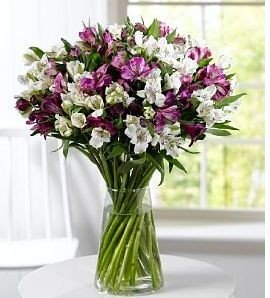 A beautiful bouquet of white and purple Alstroemeria flowers elegantly arranged in a clear glass vase, adding a touch of sophistication and freshness to any space.