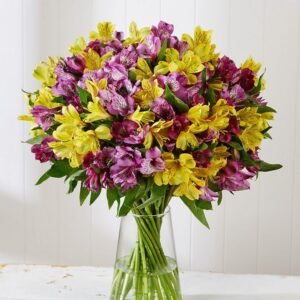 A stunning bouquet of yellow and purple Alstroemeria flowers arranged in a clear glass vase, creating a bright and cheerful display.