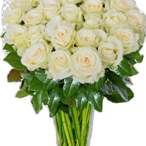 Bouquet of ivory white roses with lush green foliage in a clear glass vase.