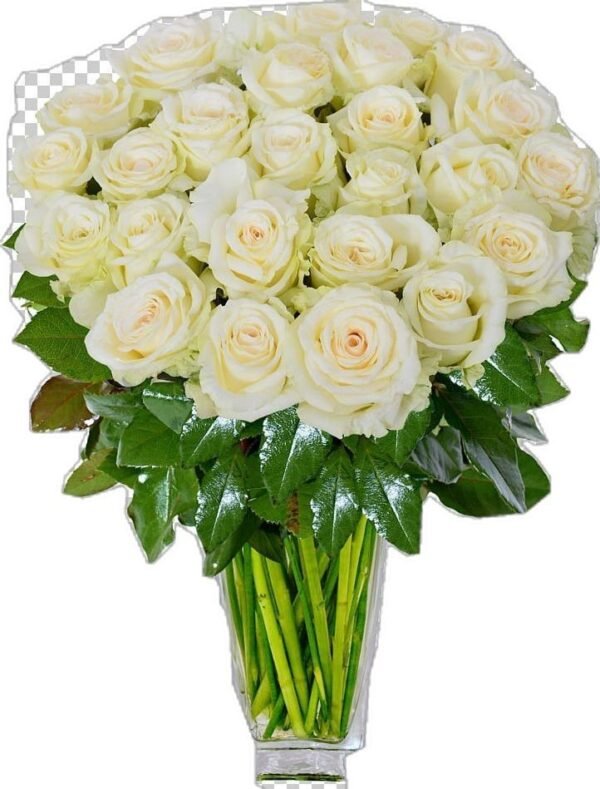 Bouquet of ivory white roses with lush green foliage in a clear glass vase.