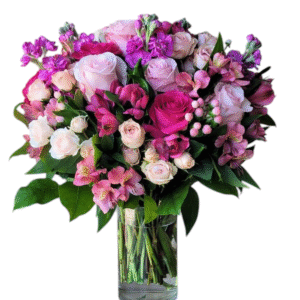 Bloom Rush