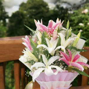 Peach Whimsy